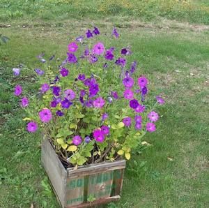 Meet your Posher, Gayle